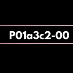 P01a3c2-00