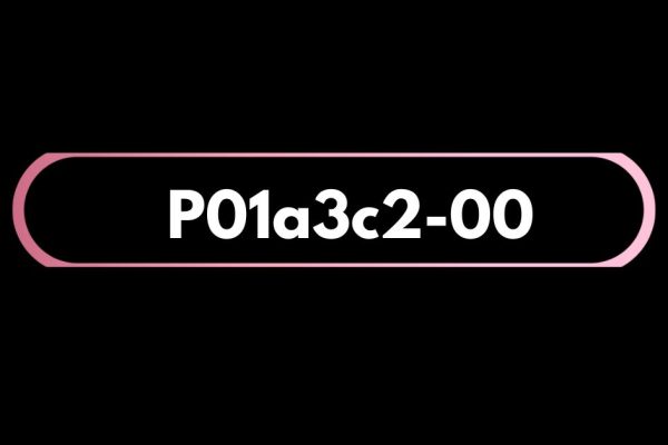 P01a3c2-00