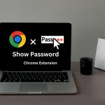 ShowPassword Extension